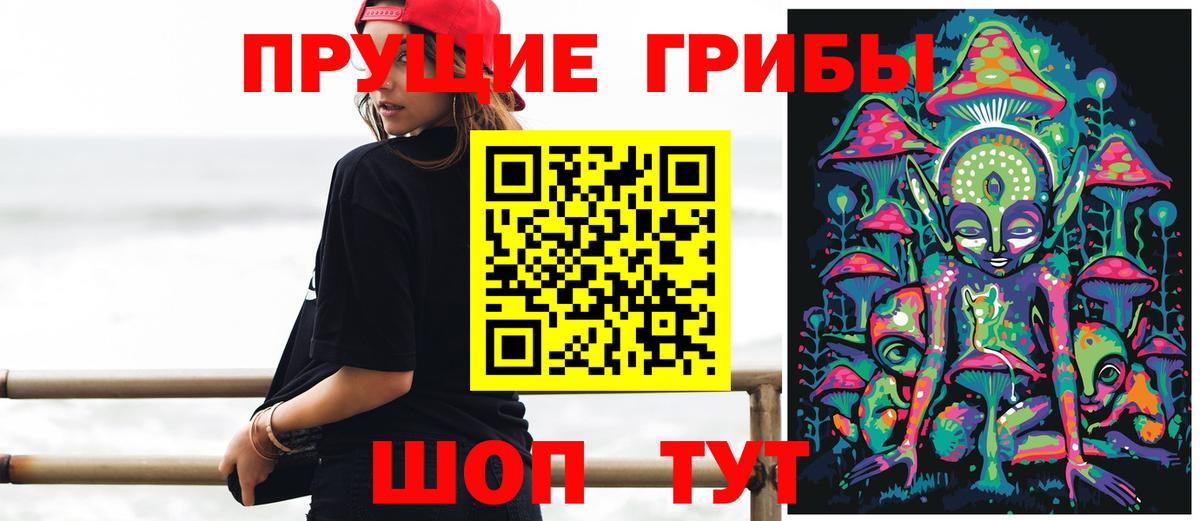 Псилоцибиновые грибы Magic Shrooms  купить  сайты  Тихвин  Вход с VPN 